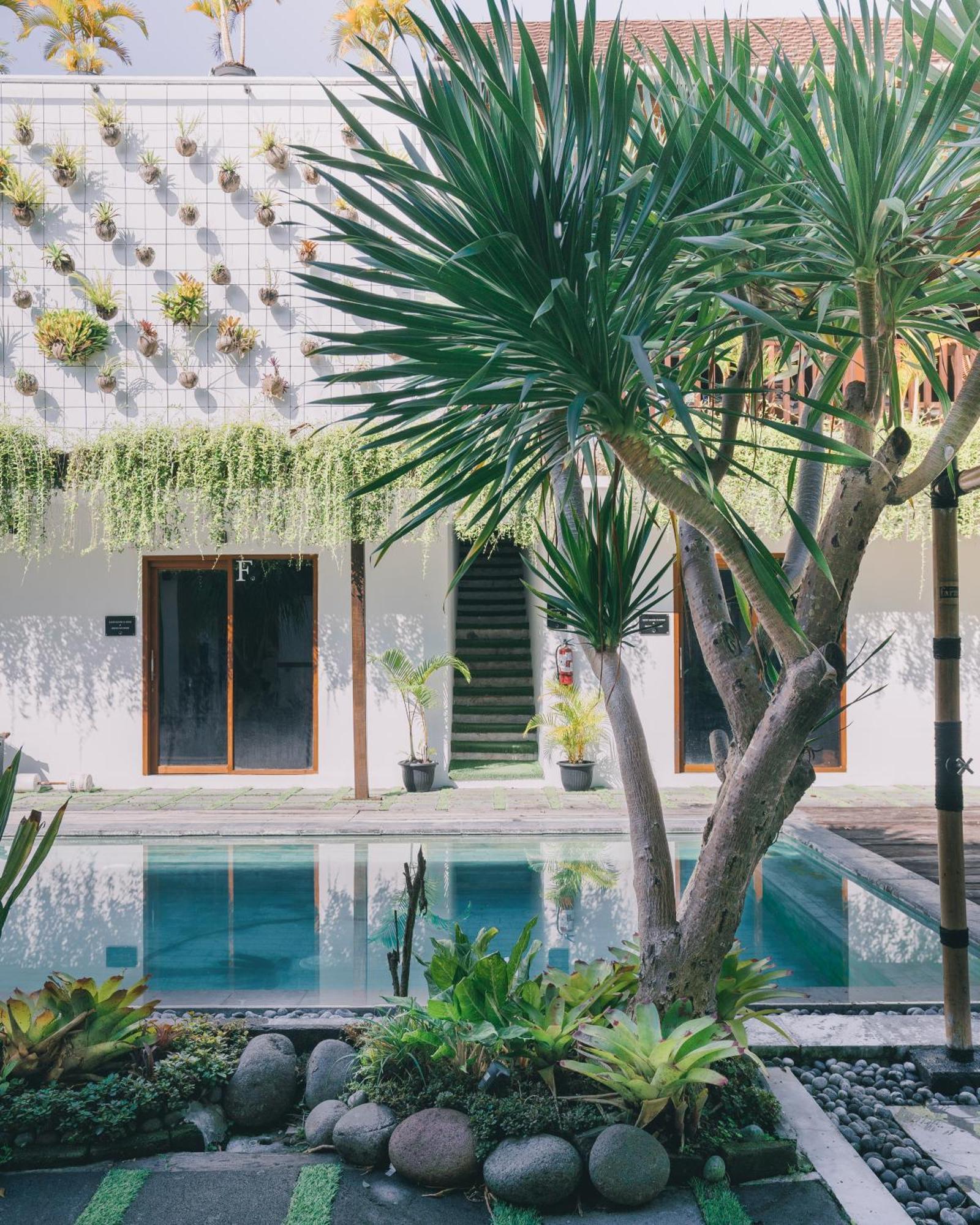 The Farm Hostel ชังกู ภายนอก รูปภาพ